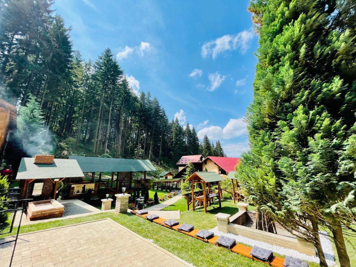 Boutique Hotel Casa Emil Пояна-Брашов Экстерьер фото