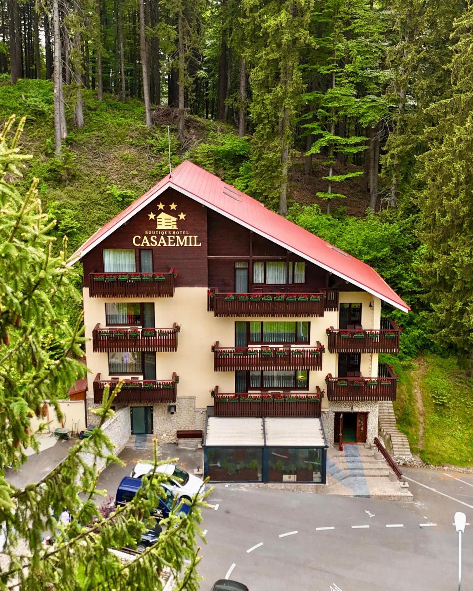 Boutique Hotel Casa Emil Пояна-Брашов Экстерьер фото